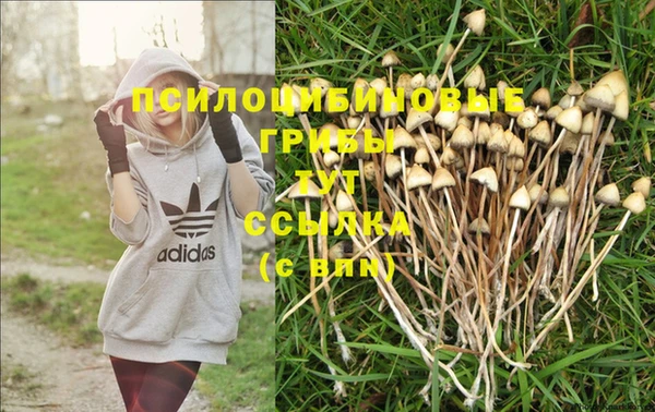 метадон Балабаново