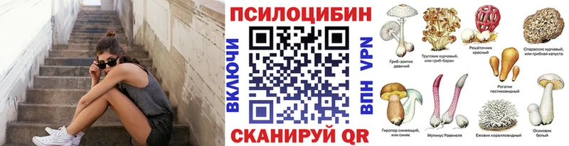 Галлюциногенные грибы GOLDEN TEACHER  купить   Омутнинск 